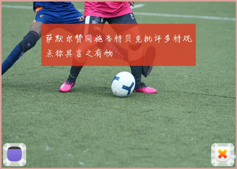 萨默尔赞同施洛特贝克批评多特观点称其言之有物